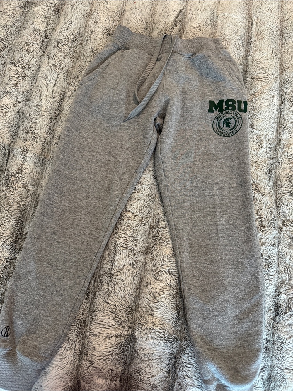 Holloway Michigan State MSU Gymnastics Gray Sweatpants Size - Youth Large 💚